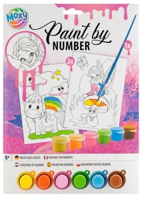 PAINT BY NUMBER 2 X A4 3 ASS. 6 FARVER OG PENSEL